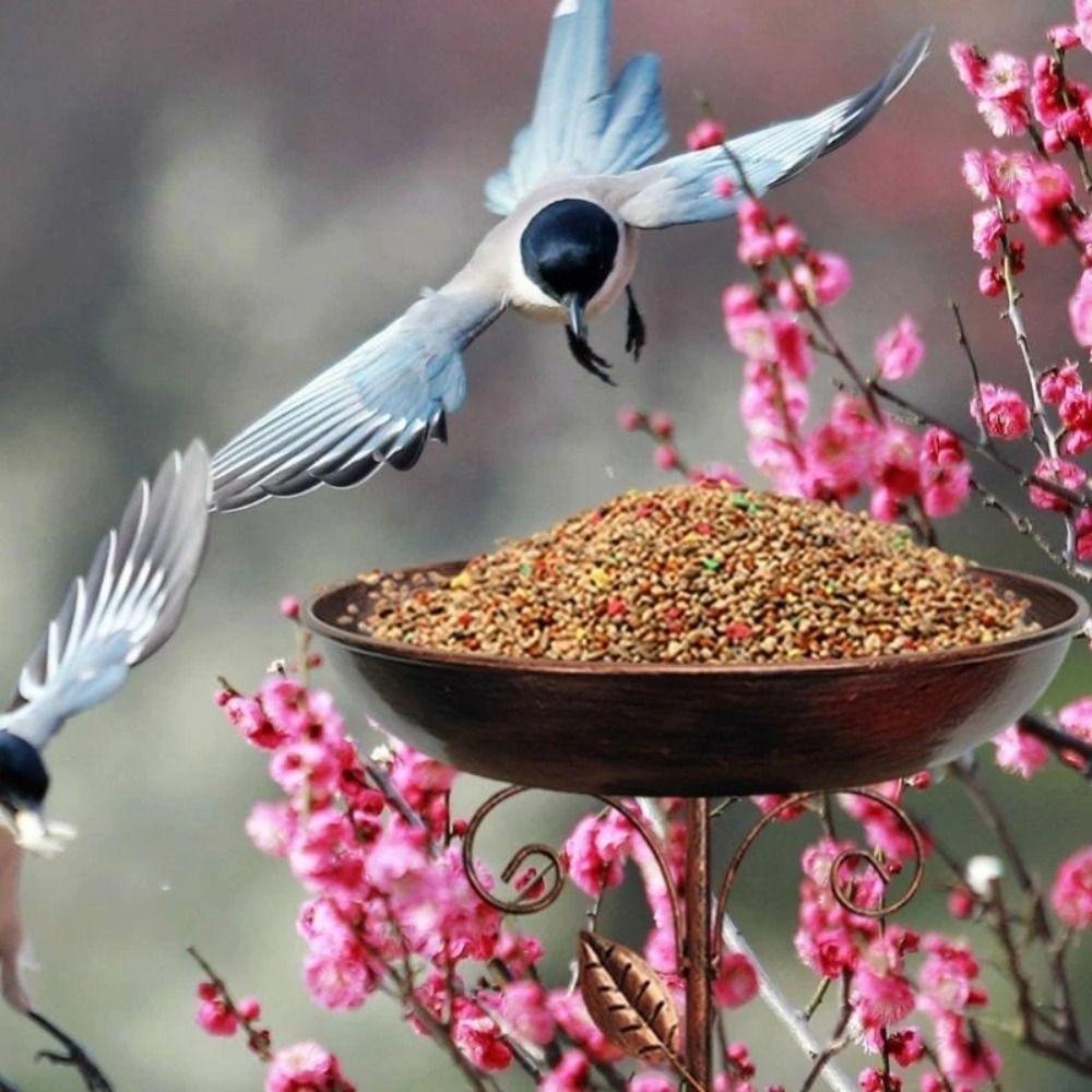 Прочная кормушка для птиц, втыкаемая в землю, железная кормушка для птиц, поилка для птиц, сад