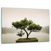 GLASS CUTTING BOARD STAND 40x30 TREE