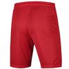 Nike Тренировочные дышащие спортивные шорты мужские шорты красные AO4150-657