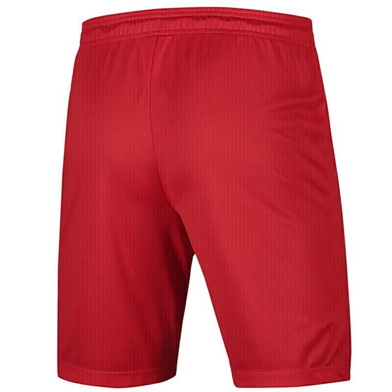 Nike Тренировочные дышащие спортивные шорты мужские шорты красные AO4150-657