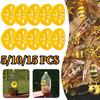 5/10/15Pcs Flying Insects Funnel Trap Reusable Garden Outdoor Pest Control Tool Portable Wasp Catcher Gardening Equipments