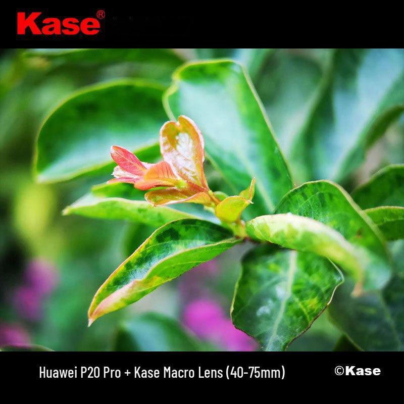 Kase Mobile Macro Lens: High-Definition External Lens for Apple and Huawei