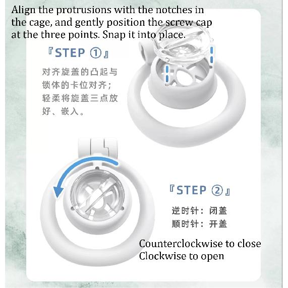 Rotating Flat Plate Chastity Cage Erotic Urethral Lock Male Penis CB Lock Abstinence Bondage SM Sissy Dual Cover Lock Sex Toys