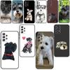 Miniature Schnauzer Puppy Dog Soft Case For Samsung Galaxy A32 A52 A72 A12 A42 A40 A50 A70 A03S A21S A52S A71 A51 Cover