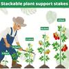 28Pcs Adjustable Plant Support Sticks with 28 Rings 14 Connectors Perfect for Potted Flowers Tomato Rose Indoor Outdoor