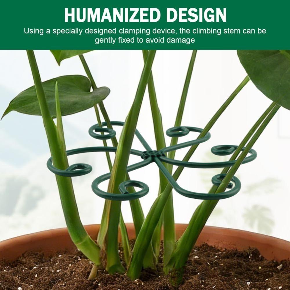 Iron Climbing Houseplant Stem Supports 14.6inch Garden Trellis Houseplants Flowers