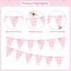 Pink Color One Silly Goose Party Triangle Banner Theme Design Goose Theme Garland  1st Birthday