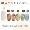 Gel Nails Coikaze Clear Color Transparent Dull Gel Nail Nail Gradient Tortoiseshell Nail 6 Color Set Gel, Color, Supplies, Gel, Nails, Transparency,
