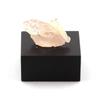 Stones and Minerals. Morganite. 4.82 Ct. Africa.