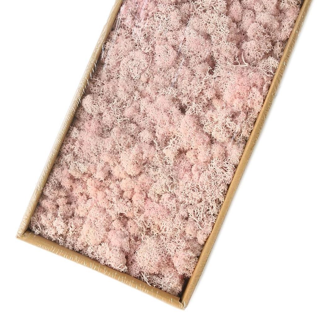 Preserved Flower & Moss Wall Decoration Kit: Flower Gift Box Materials