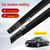 US Acura TL 09-14 Window Weatherstrip Rubber Seal