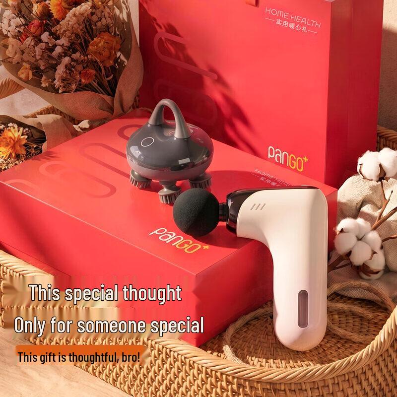 Pangao Percussion Massager & Smart Head Massager Gift Set CN plug (adapter included)