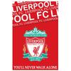 Liverpool FC Флисовое одеяло YNWA
