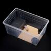 Reptile Box Mantis Jumping Spider Silkworm Rearing Box Reptile Rearing Box