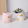 Милый мультяшный цветочный горшок с изображением животных, настольный балкон, сочные растения, украшение для цветочного горшка, креативный керамический горшок с кривой уткой и свиньей