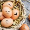 5Pcs 5 Styles Plastic Rubber Stamps with Wood Handles DIY Egg Drawing Stamps Duck 55x20mm Pattern: 18mm 1pc/style