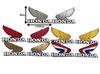 Универсальный, 5 цветов на выбор, Наклейка Honda Honda Wing, Водонепроницаемый, Светостойкий тип, Гоночный (Золото), Левый и правый 1 комплект