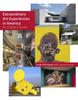 The Extraordinary Art Experiences In America : An Insider's Guide Book