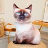 Милые Реалистичные 3D Плюшевые Игрушки Кошки Мягкая Кукла Животное Симуляция Подушка для Сна Диванная Подушка Мультяшная Кукла Домашний Декор Подарок