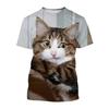 Новая футболка с 3D-принтом кошки, повседневная футболка с круглым вырезом для мальчиков, в стиле харадзюку, летний уличный стиль, легкий топ