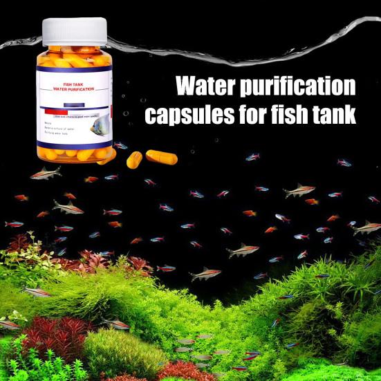 1/2 бутылки капсулы для очистки воды в аквариуме Мощная капсула для очистки воды в аквариуме для удаления всех видов мутности из воды в аквариуме