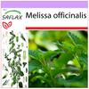 Мелисса лимонная - 150 семян - Melissa officinalis