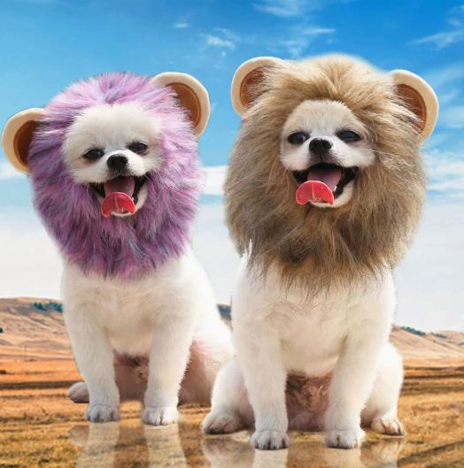 Halloween Lion Cosplay Hat for Dogs Ang Cats, Adjustable Pet Halloween Costume Accessory