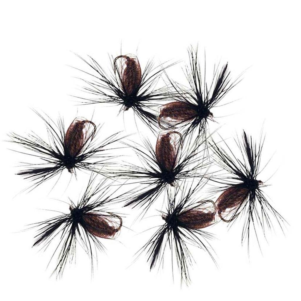 5/10/20/25Pcs/Box Black Fly Peacock Feather Wings Fly Fishing for Trout Bait Size #10 Flies Artificial Insect Bait Lure
