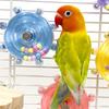 Parrot Spinner Toy Interactive Birds Spinning Wheel Chew Toy Rotating Treat Dispenser Puzzle Cage Accessory for Parakeets Conures Cockatiels