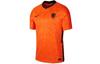 Nike Трикотажная футболка с принтованным логотипом CD0712-819