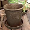 Hachimankasei Arbre Eco Pot Round 5 Inch Natural Plant Pot