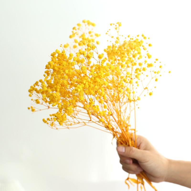 Yunnan Preserved Baby's Breath Bunch - Colorful DIY Home Decor Flower