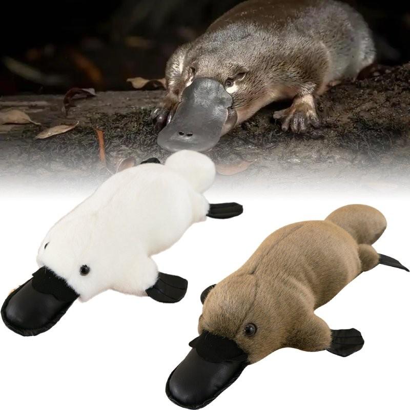 Плюшевая игрушка Утконос Куклы Украшения для комнаты Детские подарки Рождество