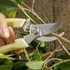Stainless Steel Garden Pruning Shears Gardening Multi-functional Fruit Shears Fruit Picking Shears Garden Scissors Outdoor