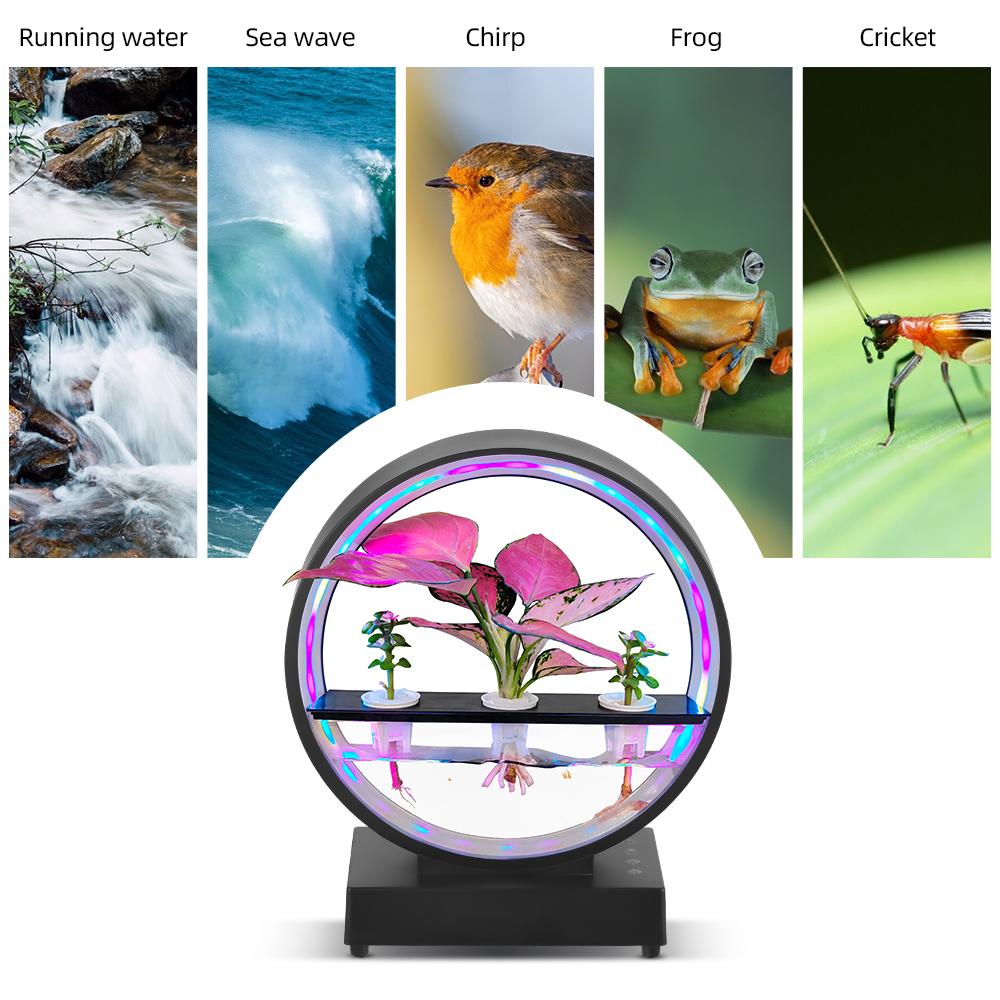 Водный элемент в помещении с динамиком BT Белый шум Светодиодные кольцевые фонари Настольный орнамент Пульт дистанционного управления