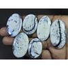 6Pcs Natural Dendrite Opal Oval Shape Cabochon Loose Gemstone Lot 588cts. C-588