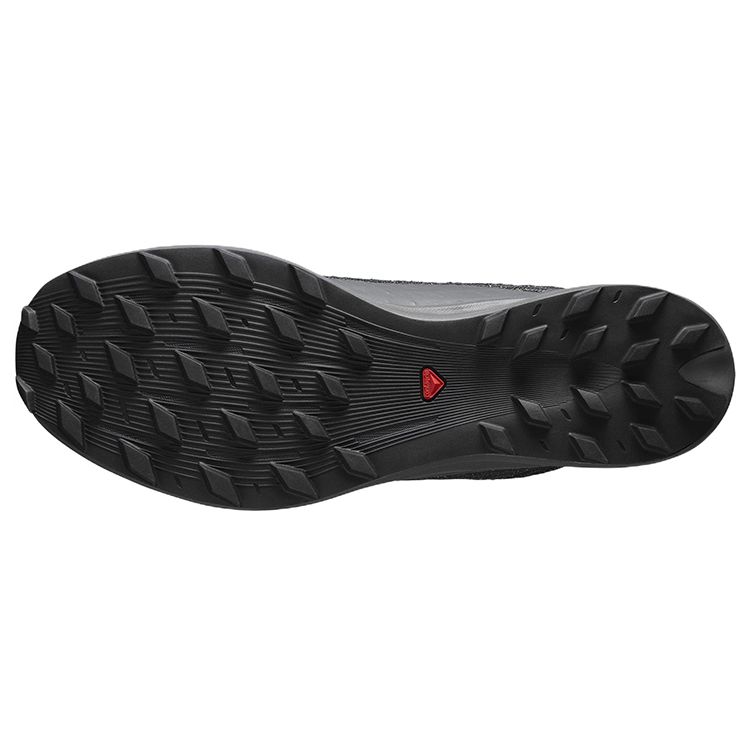 SALOMON S/Lab Pulsar 2 Удобная ткань Прочные Низкие Кроссовки для трейлраннинга Унисекс Черный L41651800