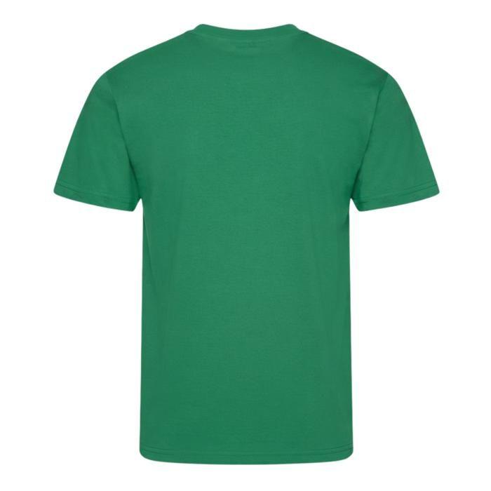 T-shirt Algérie Enfant 3 à 14 ans – Vert – Football – 100 % Polyester - Vert