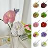 60cm Artificial Small Anthurium Multicolor Fake Flower Creative Faux Red Palm  Flower Arrangement