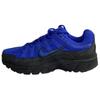 P 6000 Prm Hyper Royal Dark Smoke Grey Hyper Blue Sneakers IF0668-400