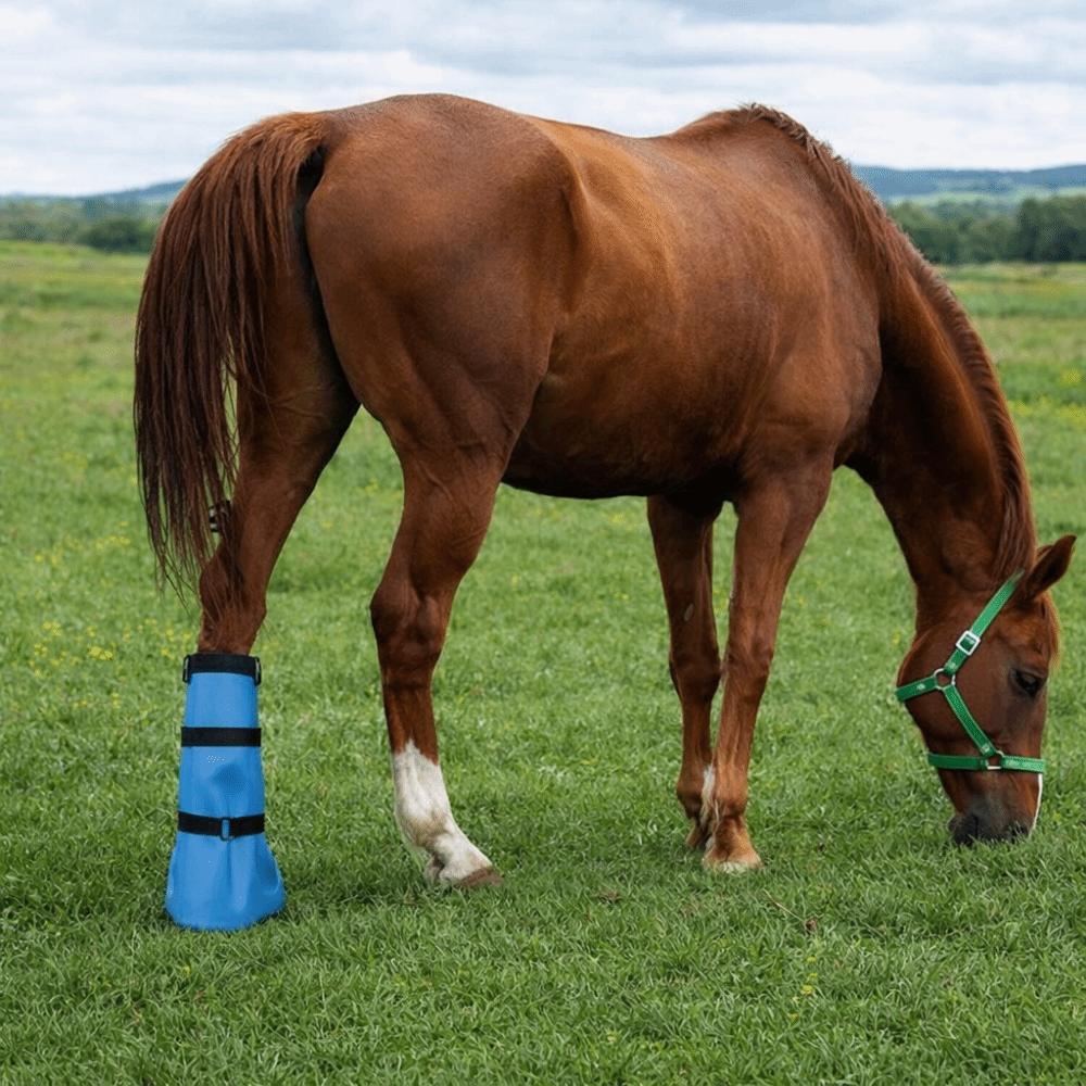 С эластичной лентой сапог для замачивания копыт регулируемые ботинки для копыт лошади водонепроницаемая сумка для копыт конюшни