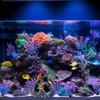 1 Set Aquarium Colorful Coral Reef Set Fish Tank Decoration Mountain Ornament for Aquarium Environments Decor Coral Mountain X 1 Aquatic Plant X 4