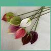 Anthurium Plant Floral Realistic Home Office Decoration Photography Props
