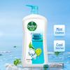Dettol Mint Icy Cool Shower Gel