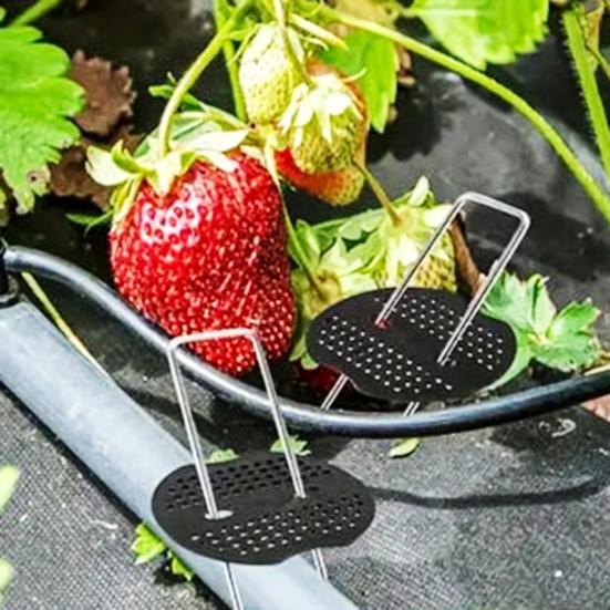 50 шт. садовых кольев с 50 шт. прокладок, оцинкованные стальные ландшафтные штифты