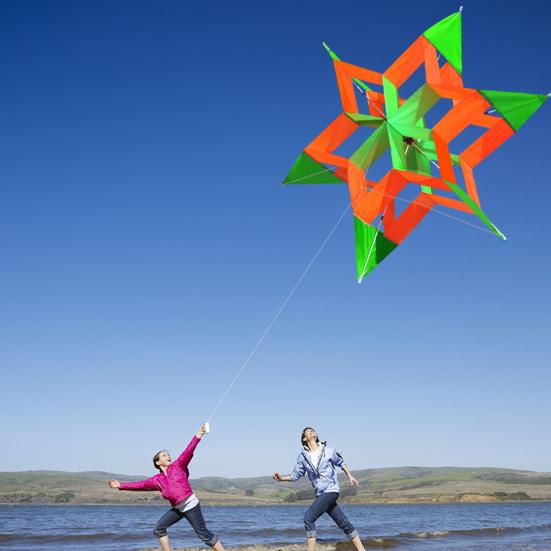 3D Lotus Kite Легко управлять Сверхпрочный открытый пляж парк газон дети взрослые игрушка воздушный змей семья малышей мальчики девочки начинающие красочный летающий змей