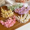 Fairy Chinese Style Side Clip Bohemian Thai Hair Fork Headdress Bride Hair Accessories  Beach