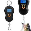 Digital LCD Display 110lb/50kg Electronic Luggage Hanging Suitcase Travel Weighs Baggage Bag Weight Balance Portable Scale Tool