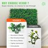 Artificial Boxwood Panel UV 24pcs Boxwood Hedge Wall Panels Artificial Grass Backdrop Wall 20" X 20" 4 cm Green Grass Wall Fake Hedge for Decor
