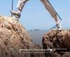 Foldable Carbon Fiber Trekking Poles for Men & Women - Telescopic Hiking and Climbing Sticks